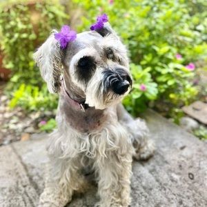 Meet your Posher, Vero